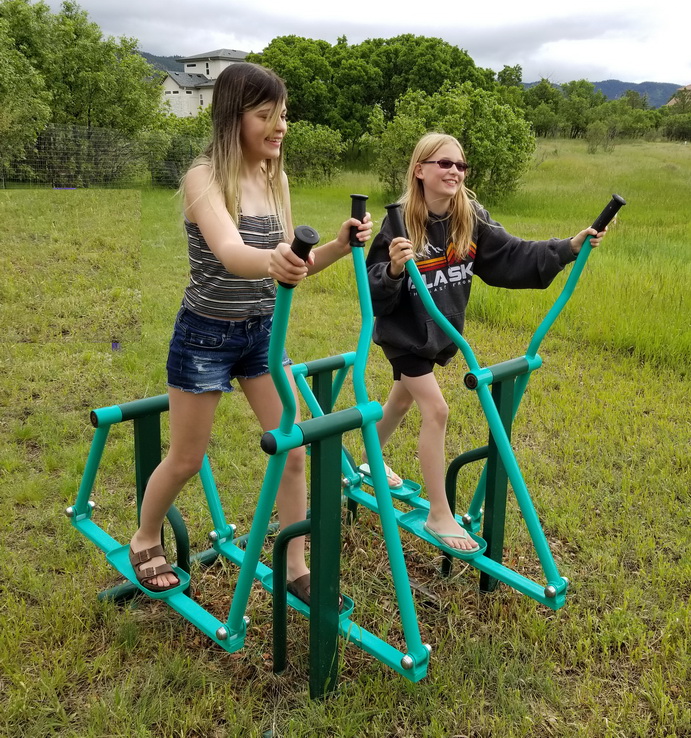 ski walker exercise machine